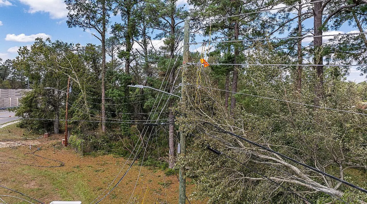 A large spider web with a spider in a wooded area.
